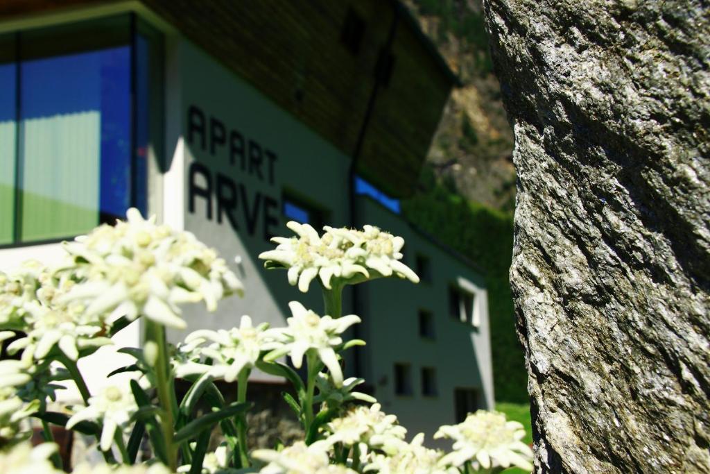 Apart Arve Sankt Leonhard im Pitztal Ngoại thất bức ảnh